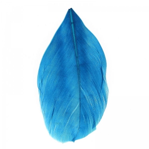Plumas 6 cm Bleu Pétrole x3gr