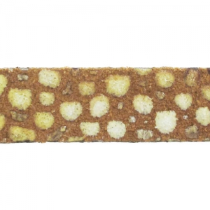 Cordón plano 10 mm Imitation Pez Camel x30cm