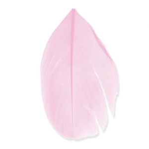 Plumas 6 cm Rosa x3gr