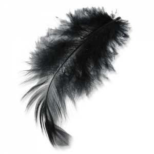 Plumas 8 à 12 cm Negro x3gr