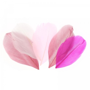 Surtido Plumas 6 cm Camaïeu Rose x10gr