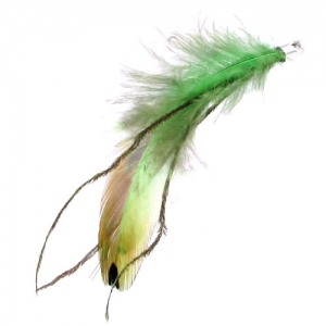 Pluma 80mm Verde x1
