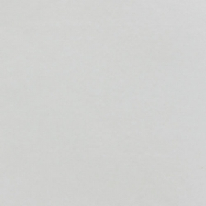 Papel de seda 50x70cm Plateado x5 hojas