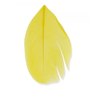 Plumas 6 cm Amarillo x3gr