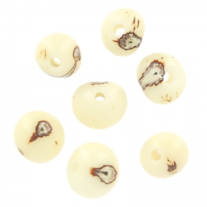 Semillas acai de Brásil 8 mm Natural x 10