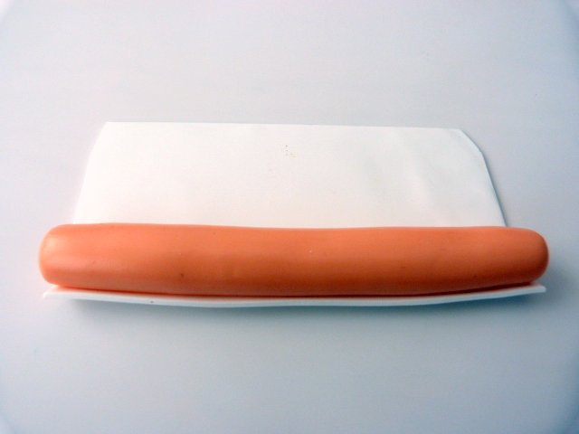 Citrus-duck pate-polímero-2_640 cane-agrumes-pate-polymere-2_640