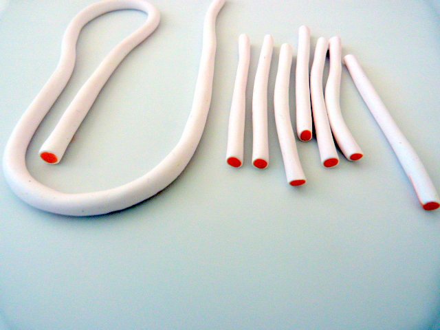 Citrus-duck pate-polímero-4_640 cane-agrumes-pate-polymere-4_640