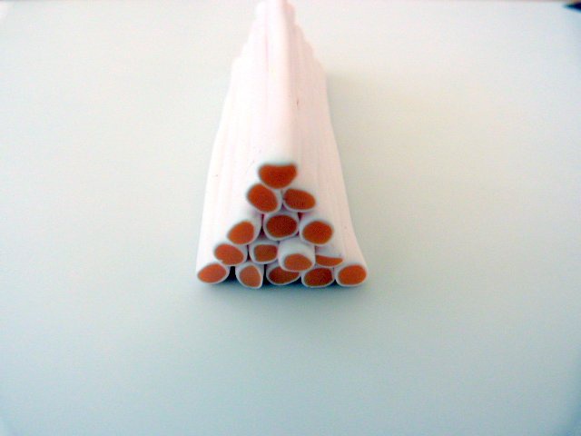 Citrus-duck pate-polímero-5_640 cane-agrumes-pate-polymere-5_640