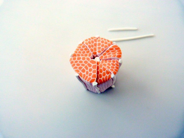 Citrus-duck pate-polímero-7_640 cane-agrumes-pate-polymere-7_640