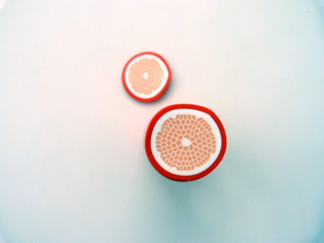 Citrus-duck pate-polímero-9_640 cane-agrumes-pate-polymere-9_640