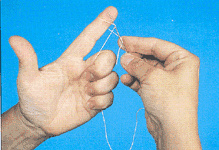 frivolite_d3 frivolite_d3