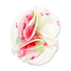 fleurs_miniatures_13_01 fleurs_miniatures_13_01