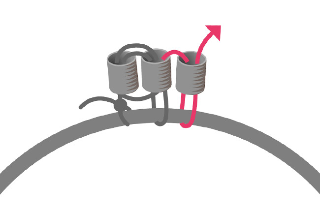 Commencer un tissage miyuki autour d'un anneau 3