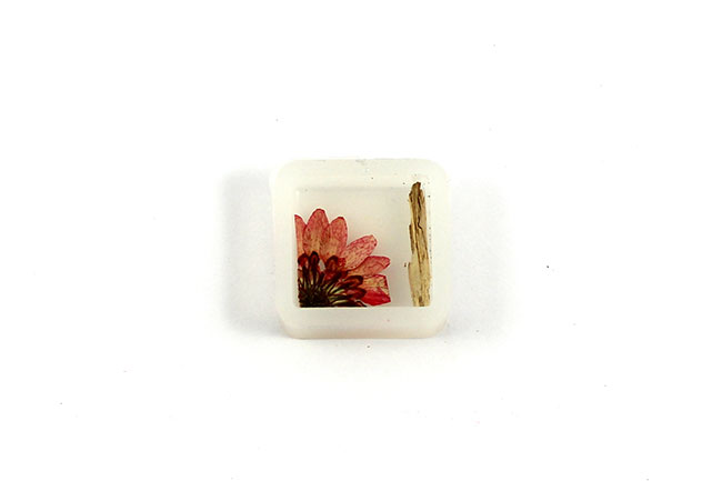 Colgante de resina con flor e inclusiones de madera : Paso 2 Colgante de resina con flor e inclusiones de madera : Paso 2