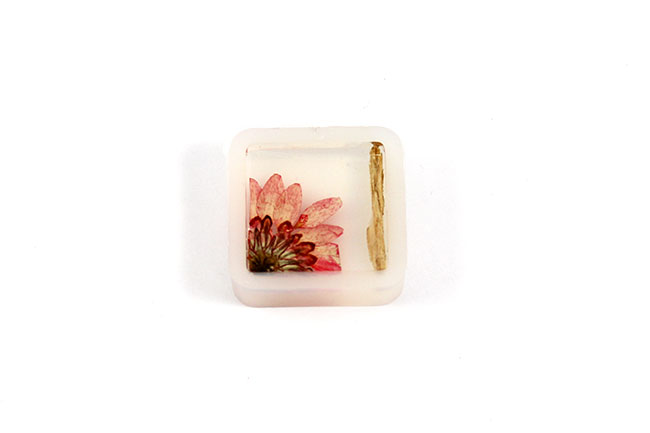 Colgante de resina con flor e inclusiones de madera : Paso 3 Colgante de resina con flor e inclusiones de madera : Paso 3