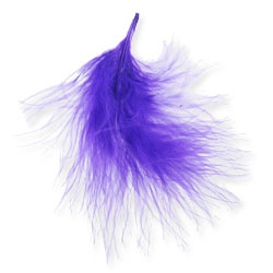 plumes_1 plumes_1
