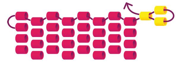 peyote_augmentation1_01 peyote_augmentation1_01