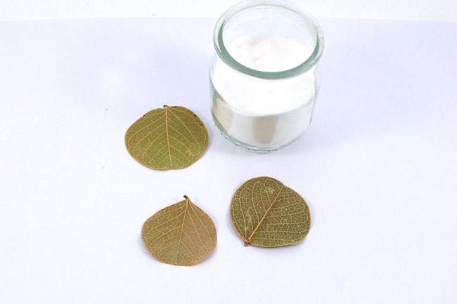 Hojas naturales relucientes : Paso 1