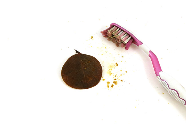 Hojas naturales relucientes : Paso 2