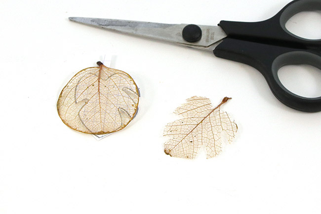 Hojas naturales relucientes : Paso 3