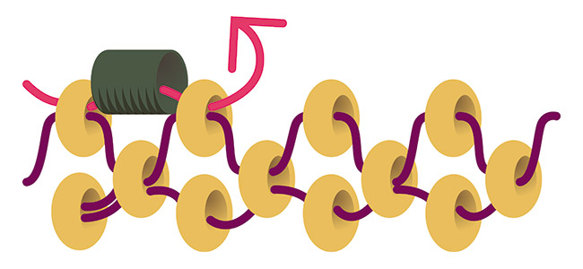 comienzo del anillo de cierre de perlas en tejido circular de peyote 2