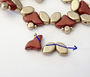 Paso perla de abeto Puca