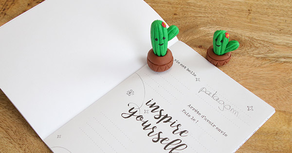 Esquema TUTO cactus gum en Patagom para el regreso a la escuela