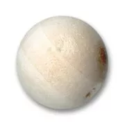 Redondas de madera 15 mm x40