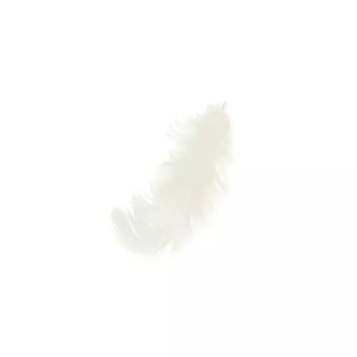 Plumas entre 8 y 12 cm para decorar Crema x10gr