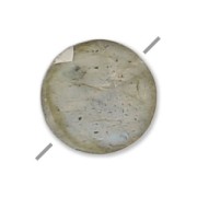 Cuenta Labradorite facetado disco 6 mm x1|raw }}