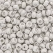 Rocalla Miyuki 11/0 961F - Mat Bright Sterling Silver Plated x5g