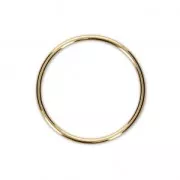 Anilla cerrada 20 mm de Gold filled x1