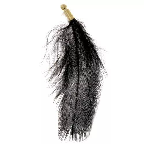 Gallo pluma con terminal dorado para joyas fantasía 35 mm Negro con reflejos verde