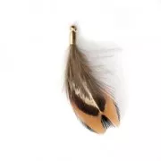 Gallo pluma rayada con terminal dorado para joyas fantasía 35 mm Marrón/Negro X 1