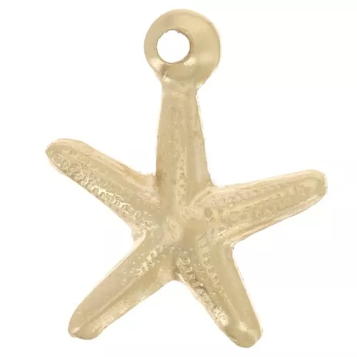 Dije finao estampado Estrella de Mer 9.5x8.5 mm de Gold filled x1
