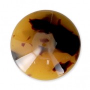 Cabuchón redondo de acetato de celulosa 18 mm Concha de tortuga Marrón/Negro x1