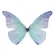 Mariposa sin agujero 50x35 mm Azul x1