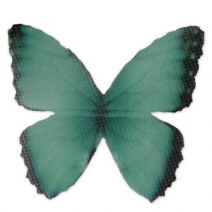 Mariposa sin agujero 50x35 mm Verde Y Negro x1