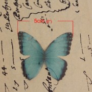 Mariposa sin agujero 50x35 mm Verde Y Negro x1