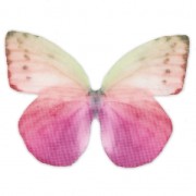 Mariposa sin agujero 50x35 mm Fuchsia Y Morado x1