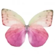 Mariposa sin agujero 50x35 mm Fuchsia Y Morado x1