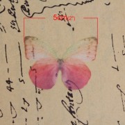 Mariposa sin agujero 50x35 mm Fuchsia Y Morado x1