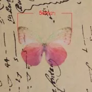 Mariposa sin agujero 50x35 mm Fuchsia Y Morado x1