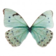 Mariposa sin agujero 50x35 mm Azul Y Verde x1|raw }}