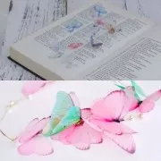 Mariposa sin agujero 50x40 mm Blanco Y Naranja x1