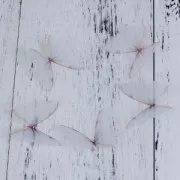 Mariposa sin agujero 50x40 mm Blanco Y Naranja x1