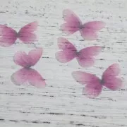 Mariposa sin agujero 30x21 mm Violet et Fuchsia x1