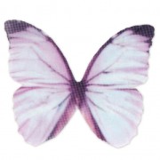Mariposa sin agujero 50x35 mm Azul y Morado x1