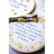 Hilo para bordar DMC Mouliné Etoile 617 Gris Antracita  (C3799) x8m