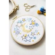 Hilo para bordar DMC Mouliné Etoile 617 Terracotta (C433) x8m